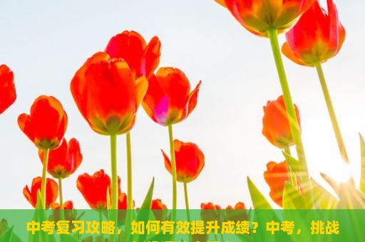 中考复习攻略，如何有效提升成绩？中考，挑战与机遇的交汇点