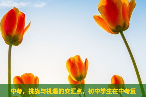 中考，挑战与机遇的交汇点，初中学生在中考复习中如何提升语文考试成绩？备考方法有哪些？