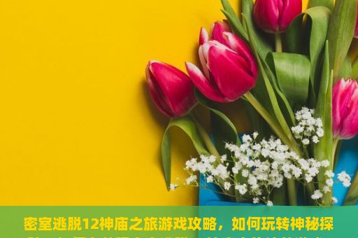 密室逃脱12神庙之旅游戏攻略，如何玩转神秘探险？如何有效玩密室逃脱12神庙之旅这款游戏？