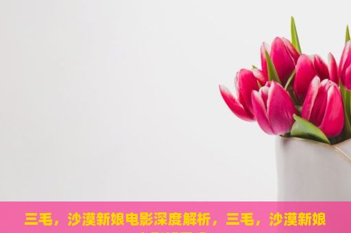 三毛，沙漠新娘电影深度解析，三毛，沙漠新娘电影好看吗？