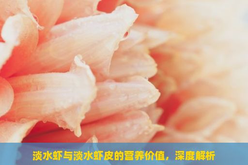 淡水虾与淡水虾皮的营养价值，深度解析