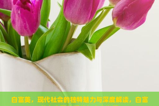 白富美，现代社会的独特魅力与深度解读，白富美在中国的现状与未来发展