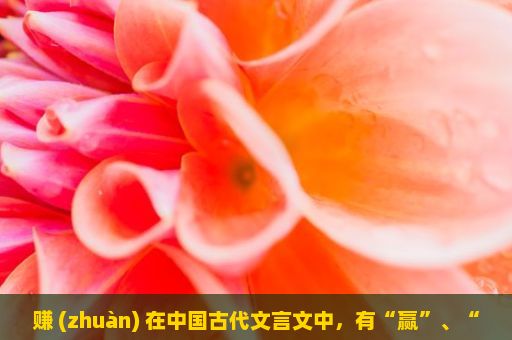 赚 (zhuàn) 在中国古代文言文中，有“赢”、“赢取”的意思。现代汉语中，“赚”也可以读作“zuàn”。它是一种获取财富或利益的方式。例如，“我们通过勤奋工作赚取了足够的薪水。” “他抓住机会成功赚取了大量的财富。” 然而，在使用这个词时，需要注意区分不同语境中的含义和用法。