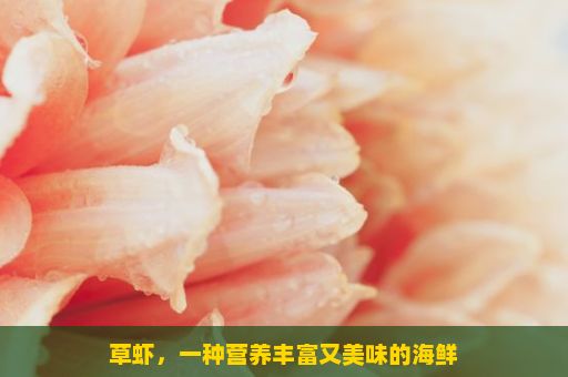 草虾，一种营养丰富又美味的海鲜