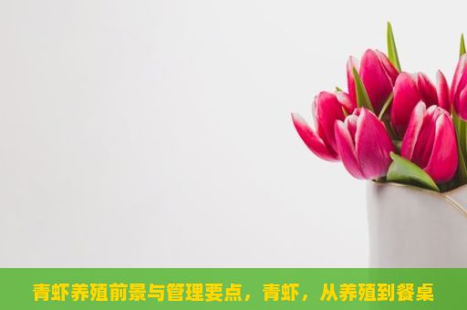 青虾养殖前景与管理要点，青虾，从养殖到餐桌的美味之旅