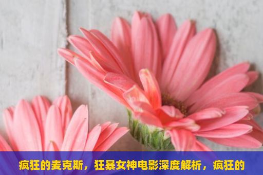 疯狂的麦克斯，狂暴女神电影深度解析，疯狂的麦克斯，狂暴女神，一部视觉盛宴和震撼心灵的电影