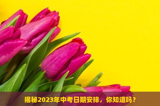 揭秘2023年中考日期安排，你知道吗？