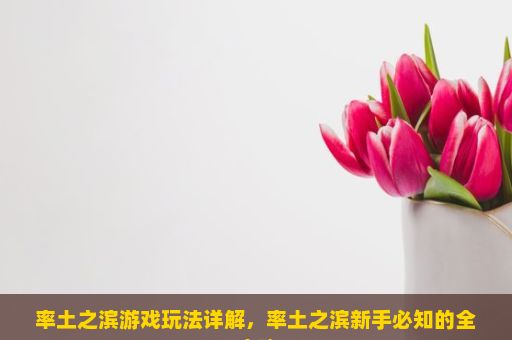 率土之滨游戏玩法详解，率土之滨新手必知的全攻略