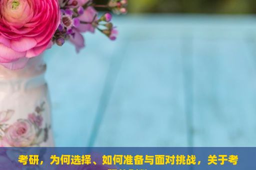 考研，为何选择、如何准备与面对挑战，关于考研的利弊