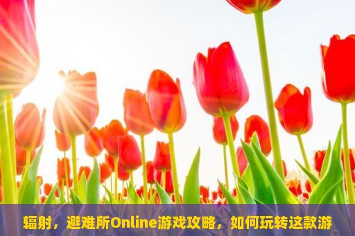 辐射，避难所Online游戏攻略，如何玩转这款游戏？辐射，避难所Online如何进行多人在线战斗？