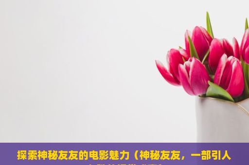 探索神秘友友的电影魅力（神秘友友，一部引人入胜的视觉盛宴）