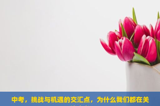 中考，挑战与机遇的交汇点，为什么我们都在关注中考