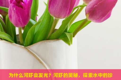 为什么河虾会发光？河虾的奥秘，探索水中的珍宝