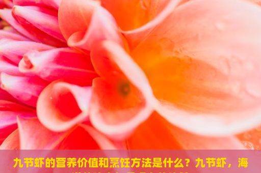 九节虾的营养价值和烹饪方法是什么？九节虾，海洋的瑰宝与餐桌上的佳肴