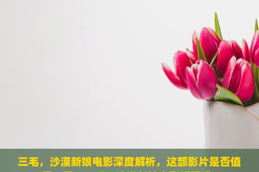 三毛，沙漠新娘电影深度解析，这部影片是否值得一看？三毛，沙漠新娘电影好看吗？