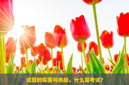 试题的探索与挑战，什么是考试？