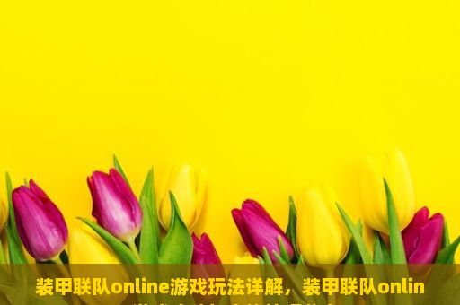 装甲联队online游戏玩法详解，装甲联队online游戏攻略与实战技巧分享