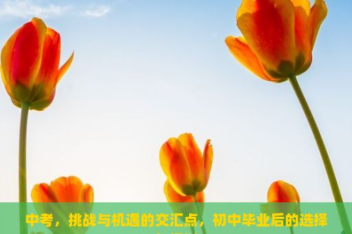 中考，挑战与机遇的交汇点，初中毕业后的选择与规划