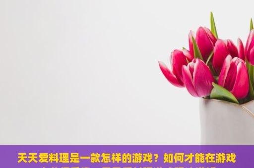 天天爱料理是一款怎样的游戏？如何才能在游戏中获得乐趣？天天爱料理游戏玩法详解