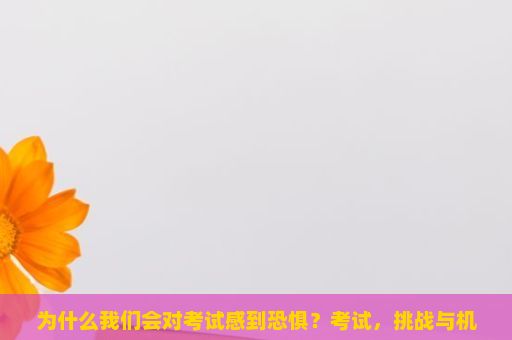 为什么我们会对考试感到恐惧？考试，挑战与机遇的交织