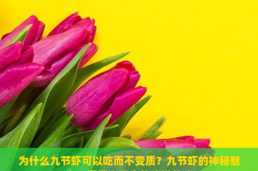 为什么九节虾可以吃而不变质？九节虾的神秘魅力，探索海洋中的珍馐美味