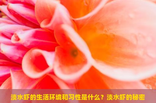 淡水虾的生活环境和习性是什么？淡水虾的秘密世界，探索与发现