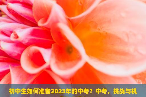 初中生如何准备2023年的中考？中考，挑战与机遇的交汇点