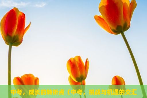 中考，成长的转折点（中考，挑战与机遇的交汇点）