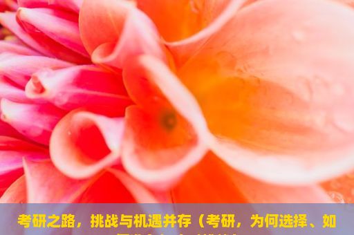 考研之路，挑战与机遇并存（考研，为何选择、如何准备与应对挑战）