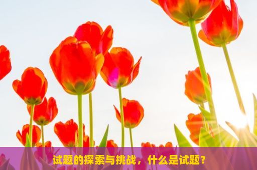 试题的探索与挑战，什么是试题？