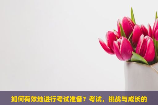 如何有效地进行考试准备？考试，挑战与成长的交汇点