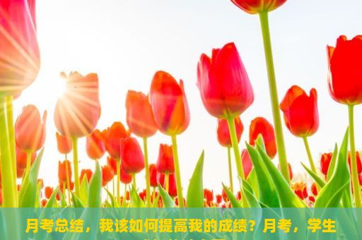 月考总结，我该如何提高我的成绩？月考，学生成长的试金石