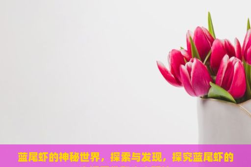 蓝尾虾的神秘世界，探索与发现，探究蓝尾虾的生活习性和生态环境