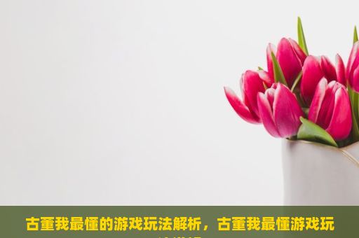 古董我最懂的游戏玩法解析，古董我最懂游戏玩法详解