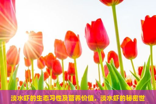 淡水虾的生态习性及营养价值，淡水虾的秘密世界，从生态到餐桌的探索