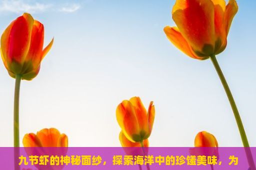 九节虾的神秘面纱，探索海洋中的珍馐美味，为什么我们要吃九节虾？