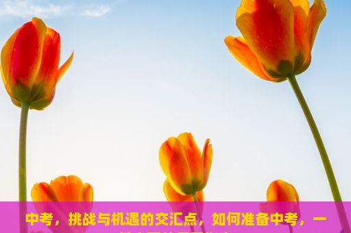 中考，挑战与机遇的交汇点，如何准备中考，一份全面的复习指南