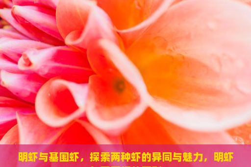 明虾与基围虾，探索两种虾的异同与魅力，明虾与基围虾的区别