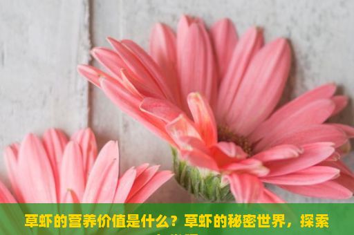 草虾的营养价值是什么？草虾的秘密世界，探索与发现