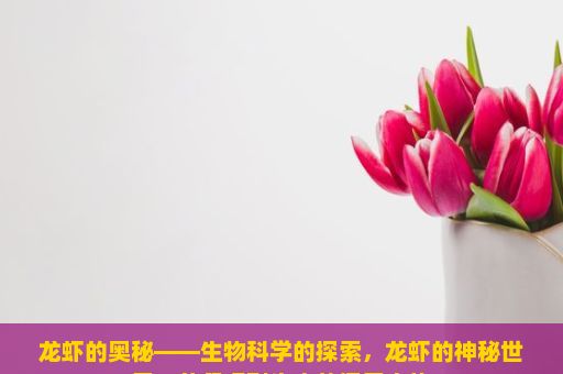 龙虾的奥秘——生物科学的探索，龙虾的神秘世界，从餐桌到生态的探索之旅