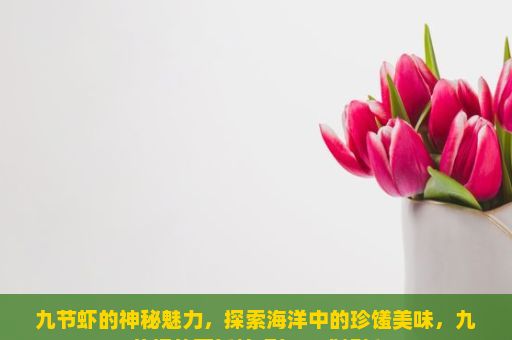 九节虾的神秘魅力，探索海洋中的珍馐美味，九节虾的烹饪技巧与口感解析