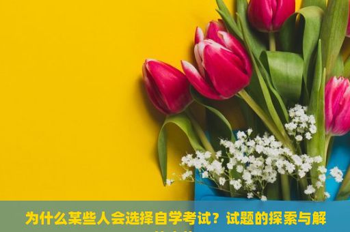 为什么某些人会选择自学考试？试题的探索与解答之旅