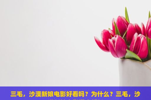 三毛，沙漠新娘电影好看吗？为什么？三毛，沙漠新娘电影深度解析