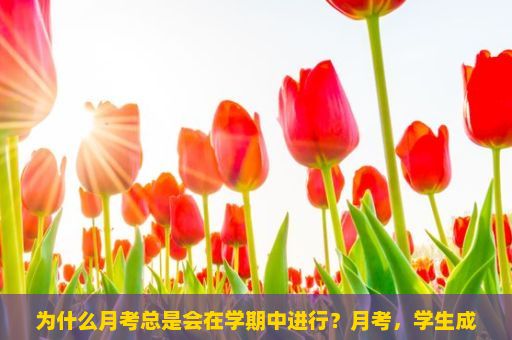 为什么月考总是会在学期中进行？月考，学生成长的试金石