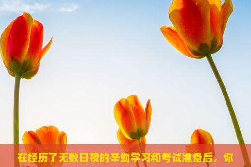 在经历了无数日夜的辛勤学习和考试准备后，你是否已经对即将到来的高考充满期待？无论你的目标是什么，这都是人生中一个重要的里程碑。这个挑战不仅仅是学业上的要求，更是你对自己未来的一个重要评估。，高考，人生路上的重要转折