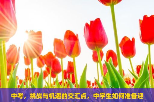 中考，挑战与机遇的交汇点，中学生如何准备迎接中考？