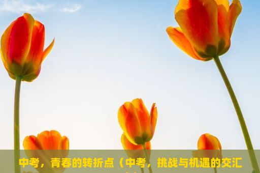 中考，青春的转折点（中考，挑战与机遇的交汇点）