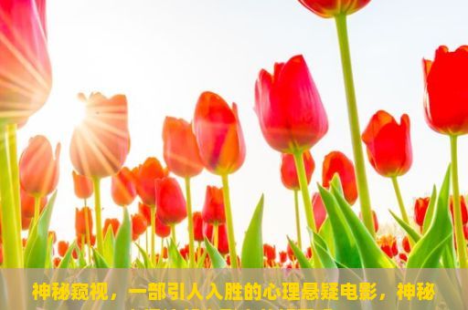 神秘窥视，一部引人入胜的心理悬疑电影，神秘窥视这部电影真的好看吗？