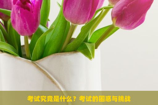 考试究竟是什么？考试的困惑与挑战