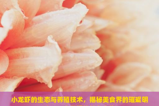 小龙虾的生态与养殖技术，揭秘美食界的璀璨明珠——小龙虾的魅力之旅